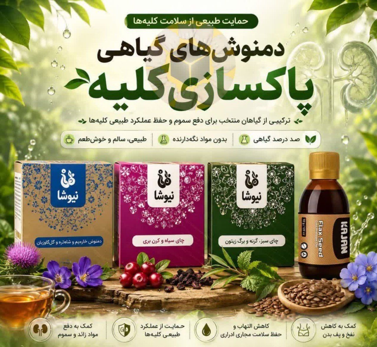 مربی طب سنتی و کارآفرین - تصویر 15