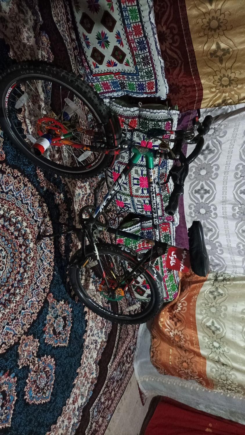 دوچرخه 24اساک