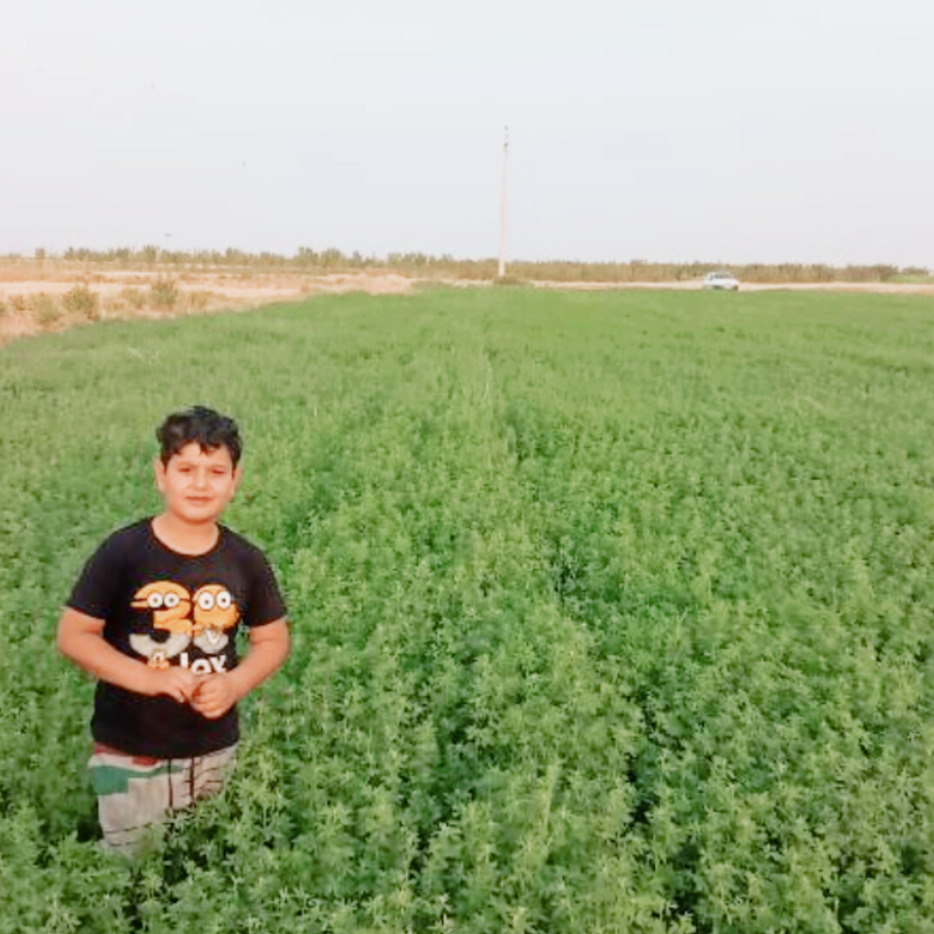 املاک کشاورزی