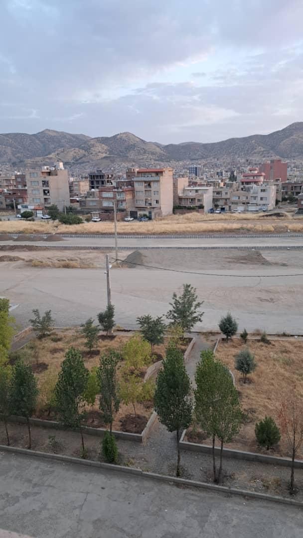 دپارتمان سناتور