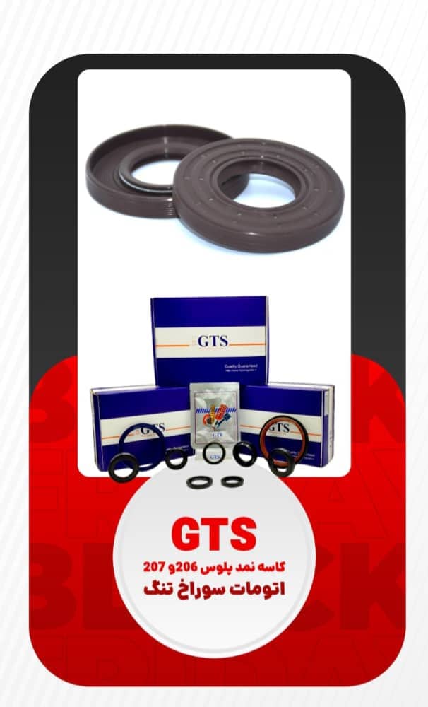 کاسه نمد GTS