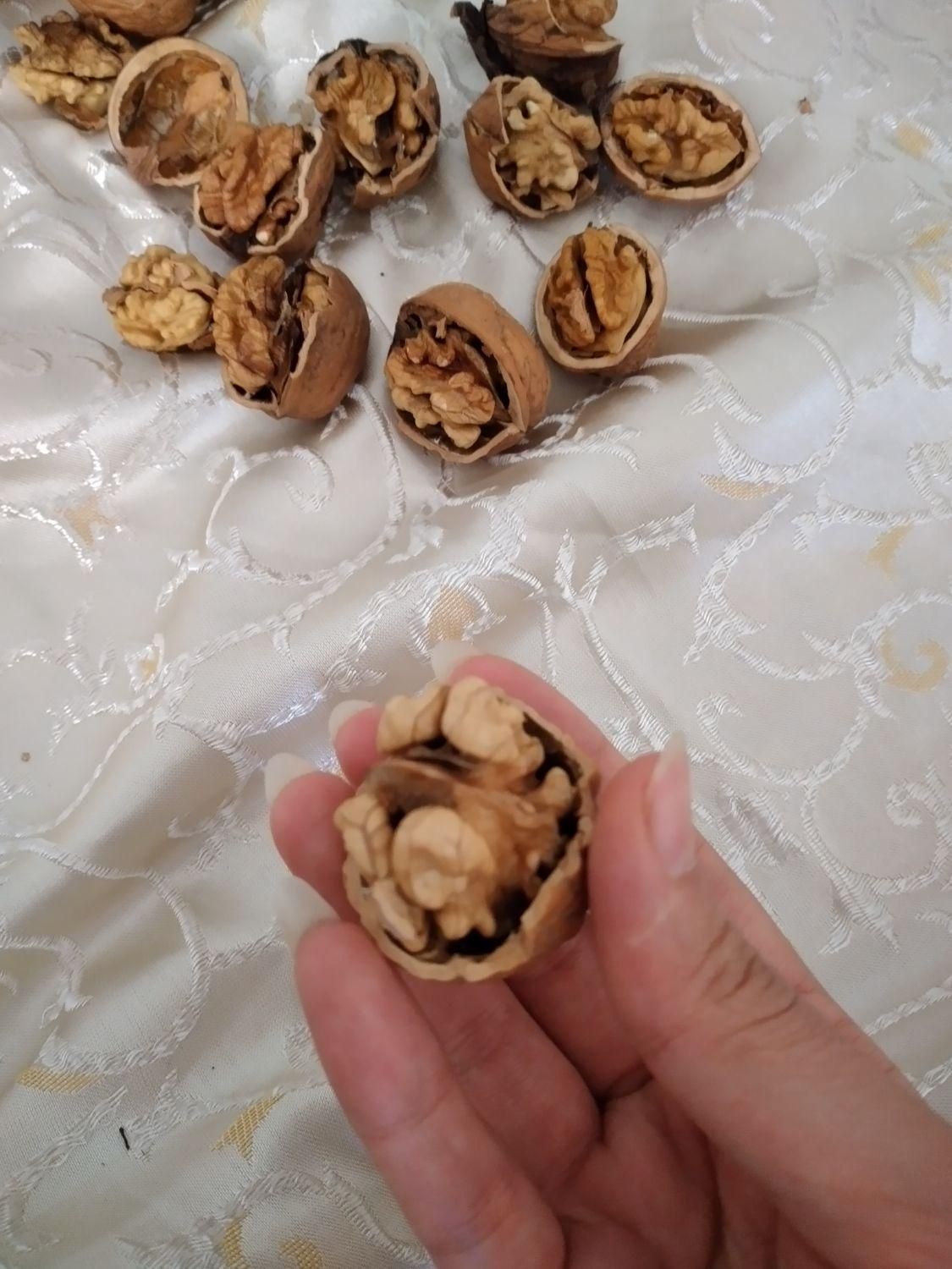 گردو تویسرکان