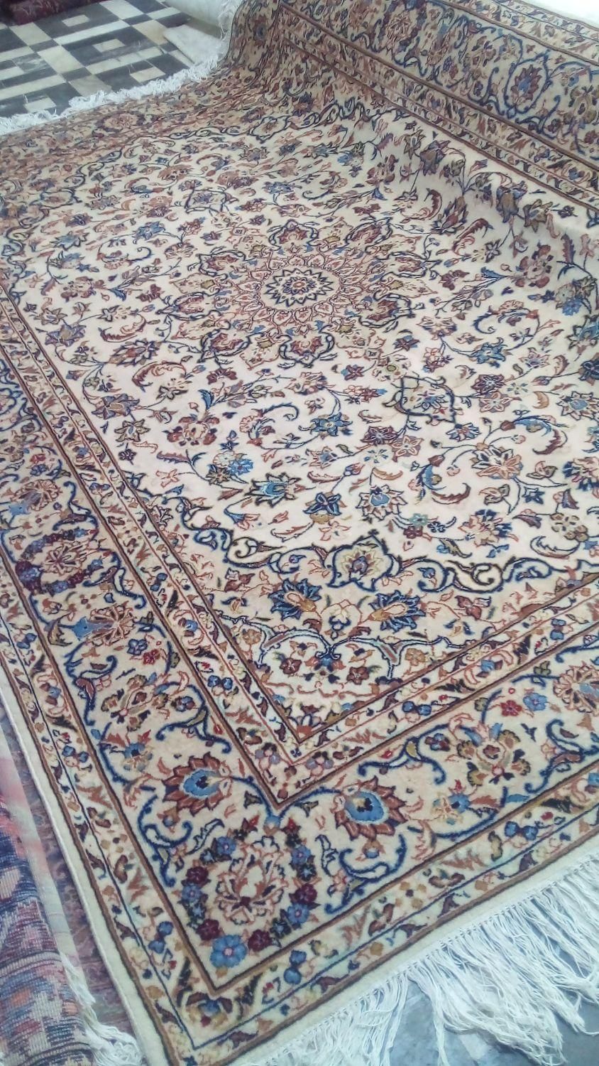 ۶ متری جفت یزد گوشتدار سالم