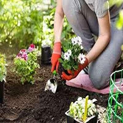 خاک حاصلخیز