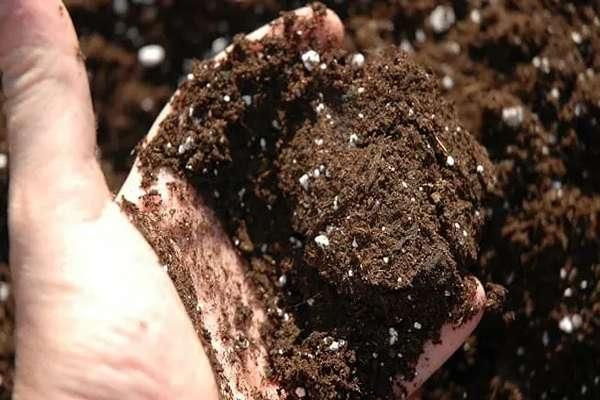 سوپر سویل Super Soil