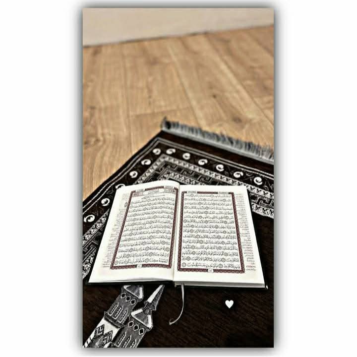 عروس هلندی دارم