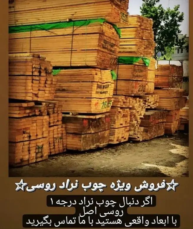 بورس چوب روسی حلب محلی شیروانی ورق نراد یولکا