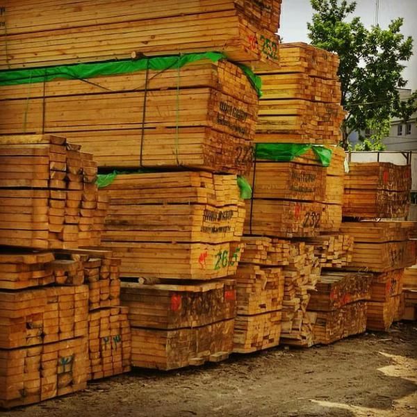 فروش چوب نراد روسی سربندی فروش حلب در گیلان رشت