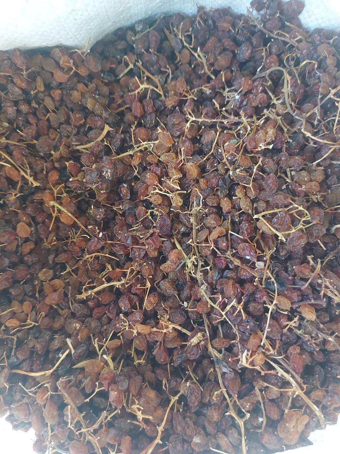 کشمش افتابی درگز
