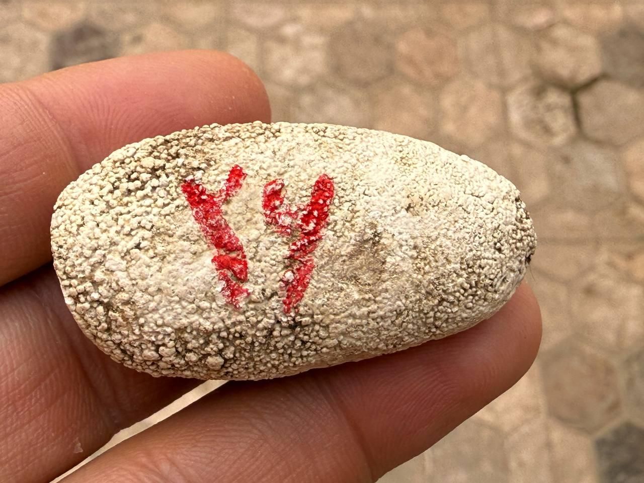 مهره های اصل