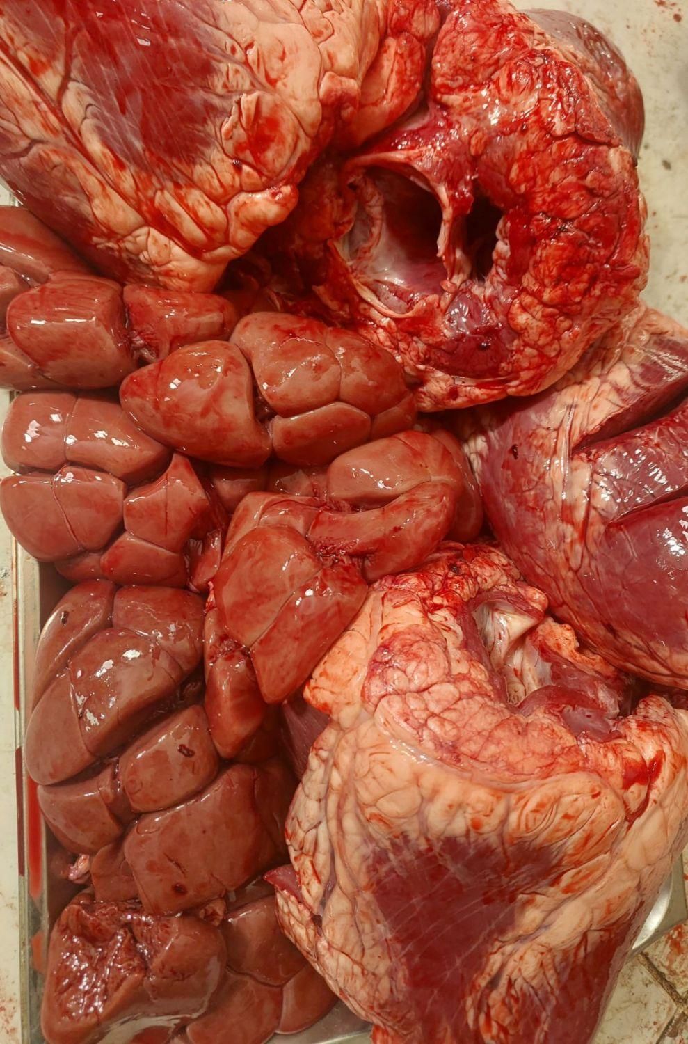 آلایش فروشی خطیبی (شعبهدیگرندارد)