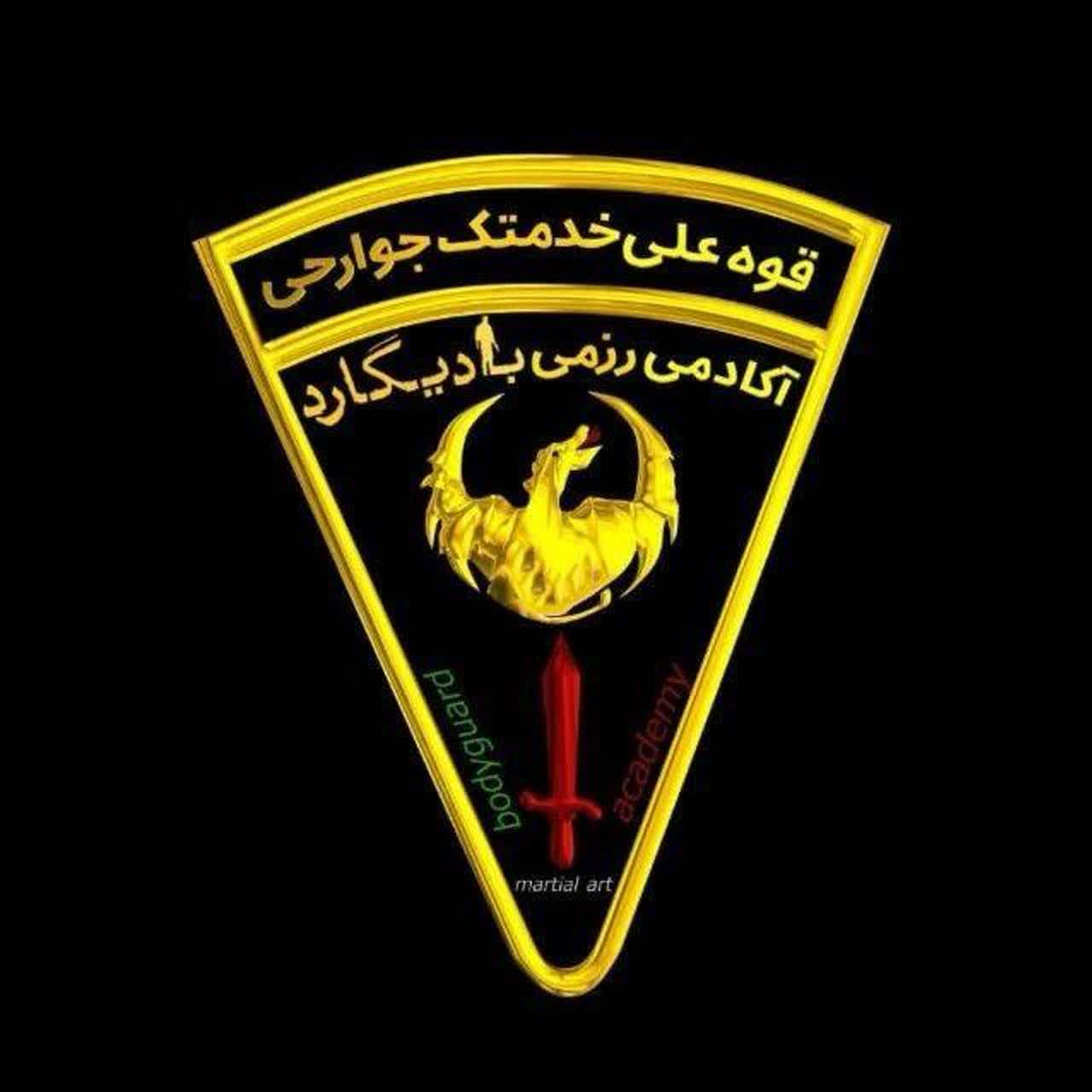 آکادمی فرهنگی ورزشی بادیگارد