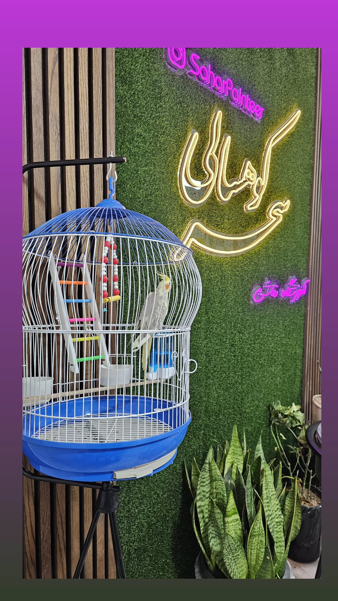 آموزشگاه نقاشی