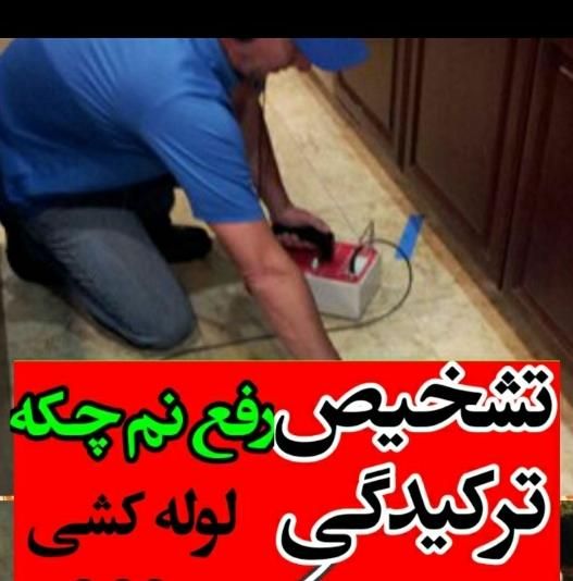 تعویض زانوفلاشتان زانورادیات گرمایش نشتی رفع نم