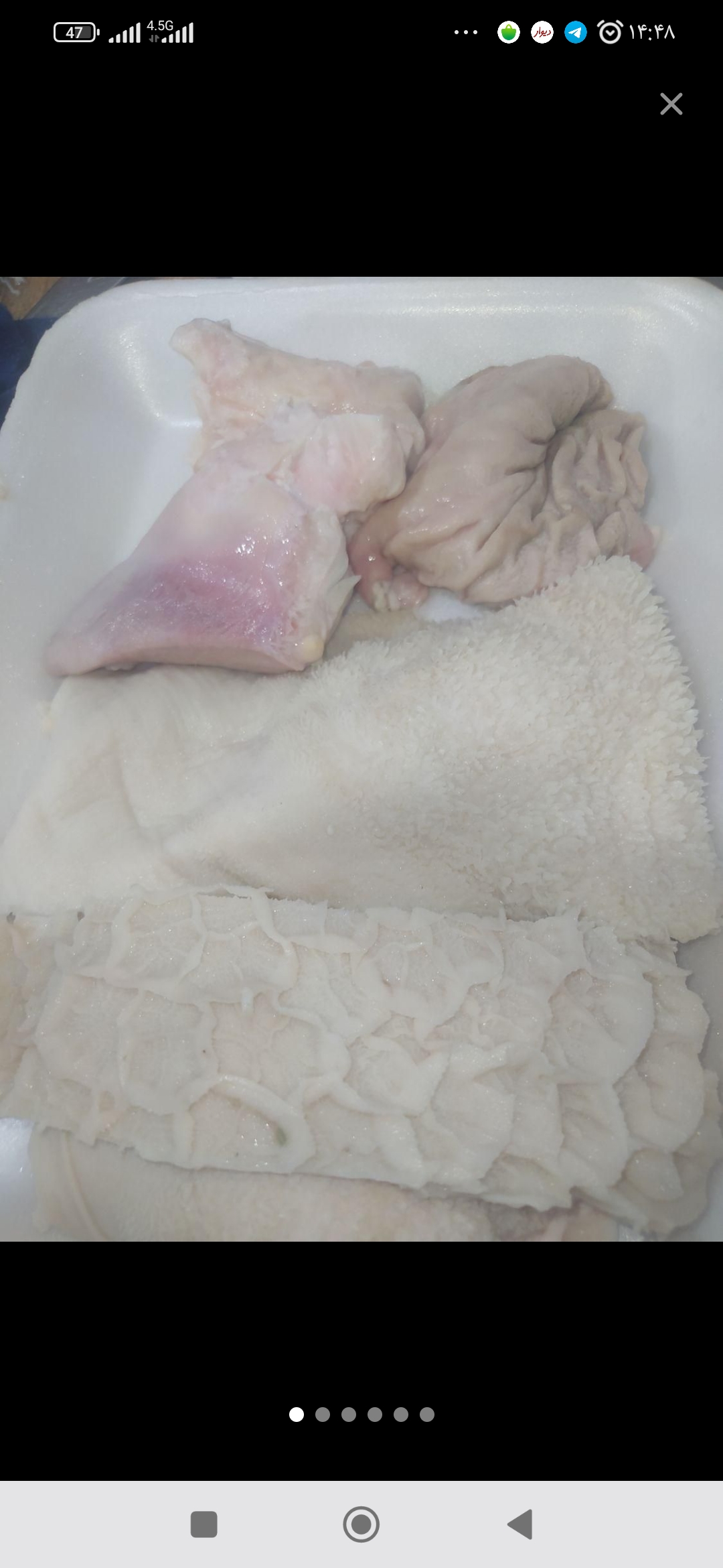 الایش گاوی