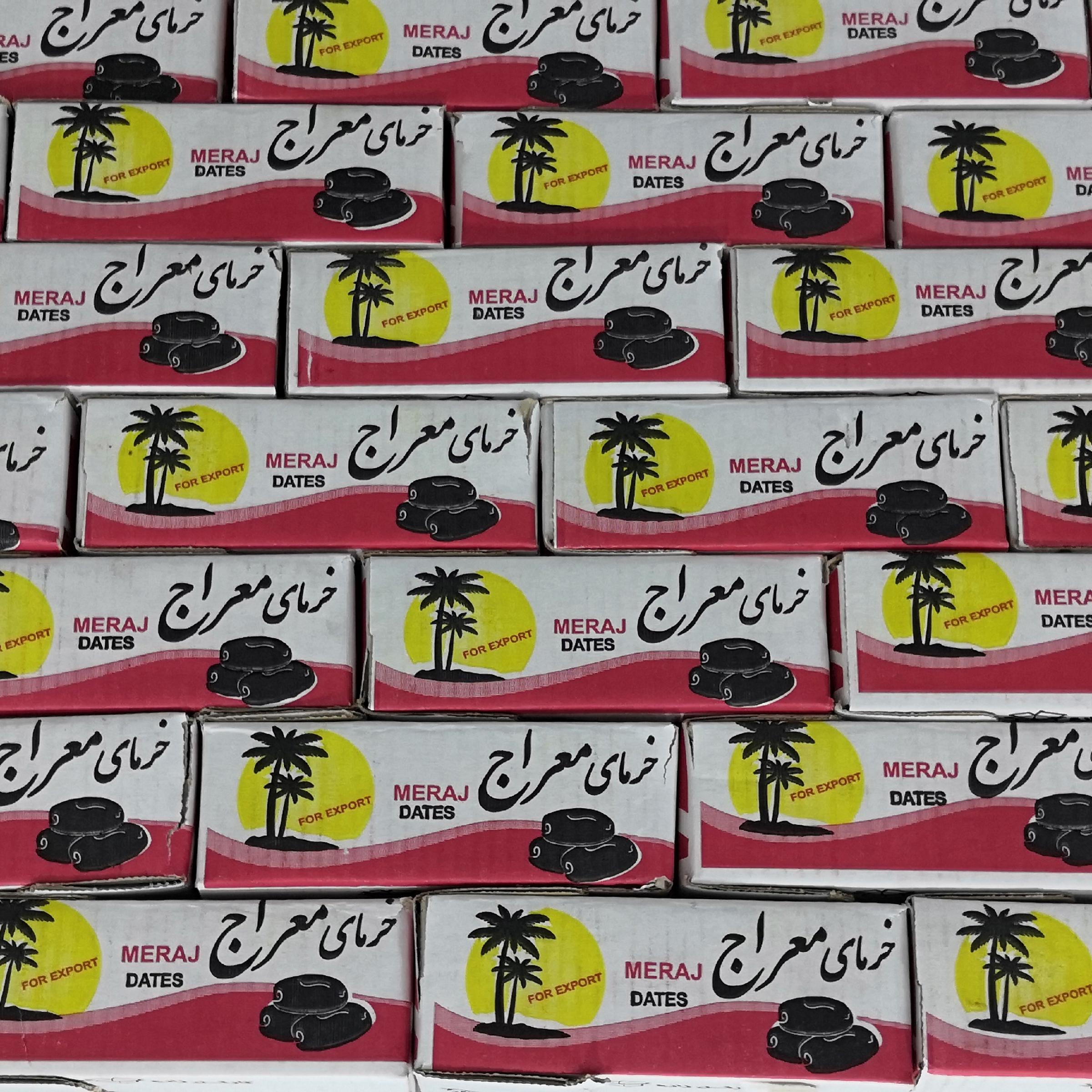 انواع خرما کارتنی و سطلی عمده