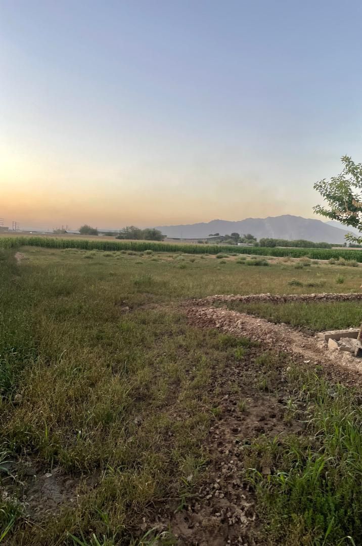 زمین کشاورزی