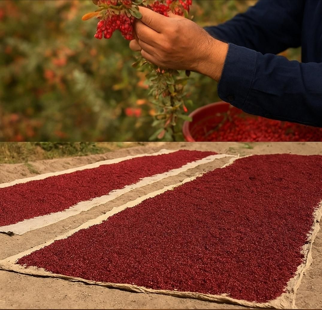 زرشک پفکی صادراتی قیمت مناسب