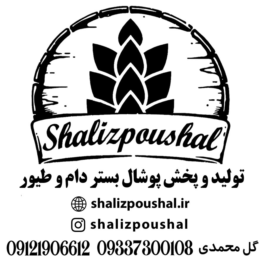 شرکت شالیز چوب