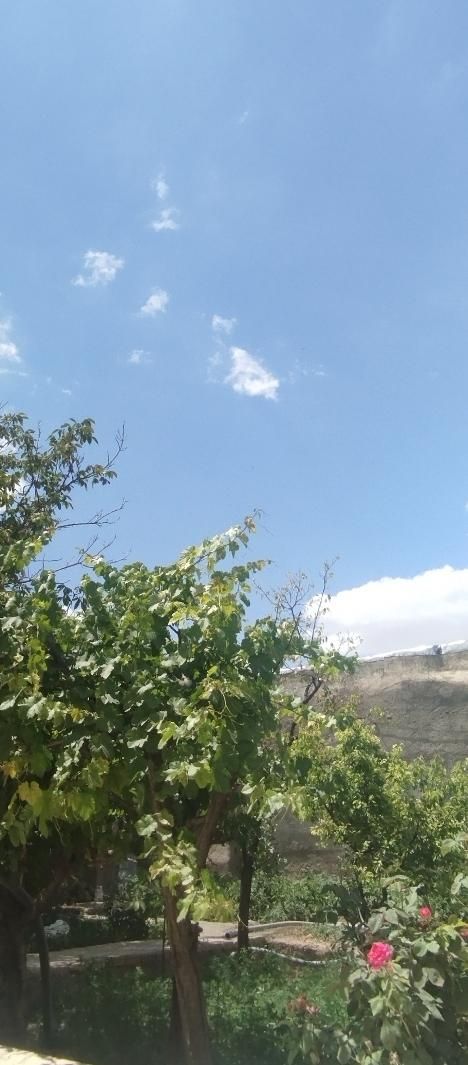 دعوت به همکاری