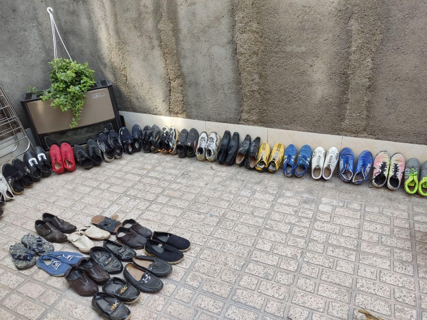 کفش۵۰ت مفت