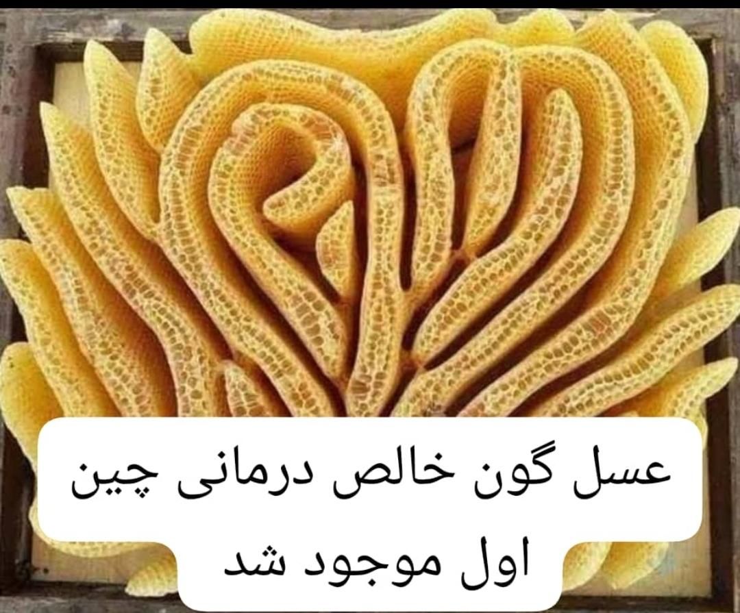 عسل گون خالص وناب