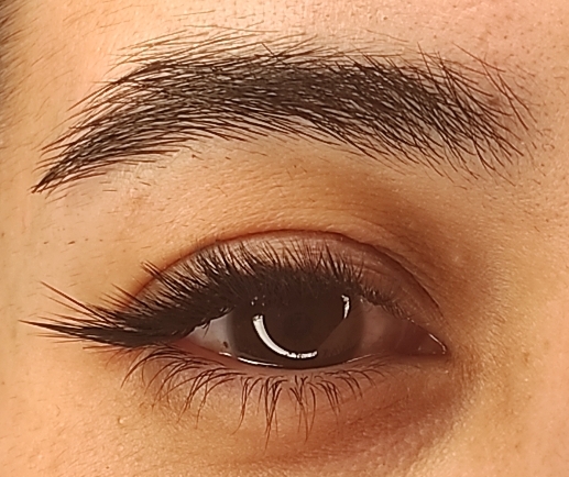 مدل ژورنالی (ترکیبی)