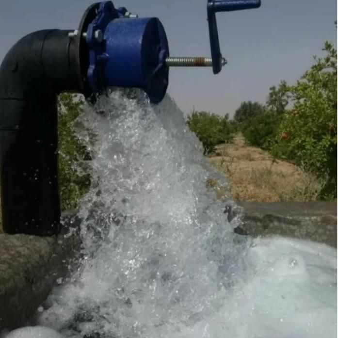 باغ فروشی
