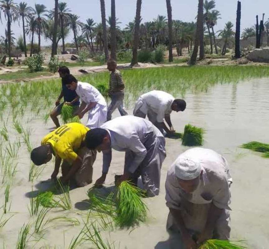 کارگرچلتوک