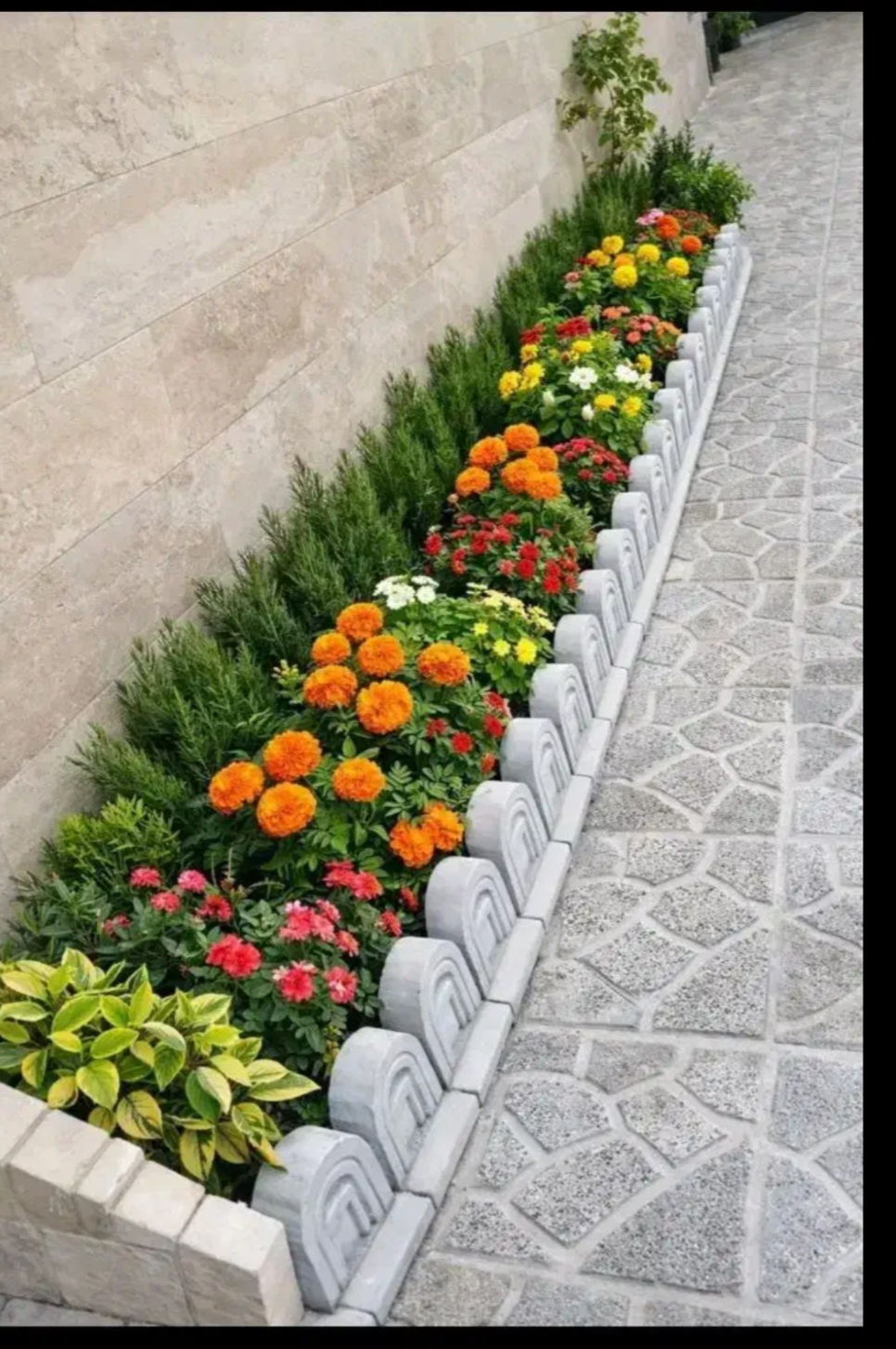باغبانی گل کاری هرس کردن کود باغچه  تعویز  خاک گلدان - تصویر 7