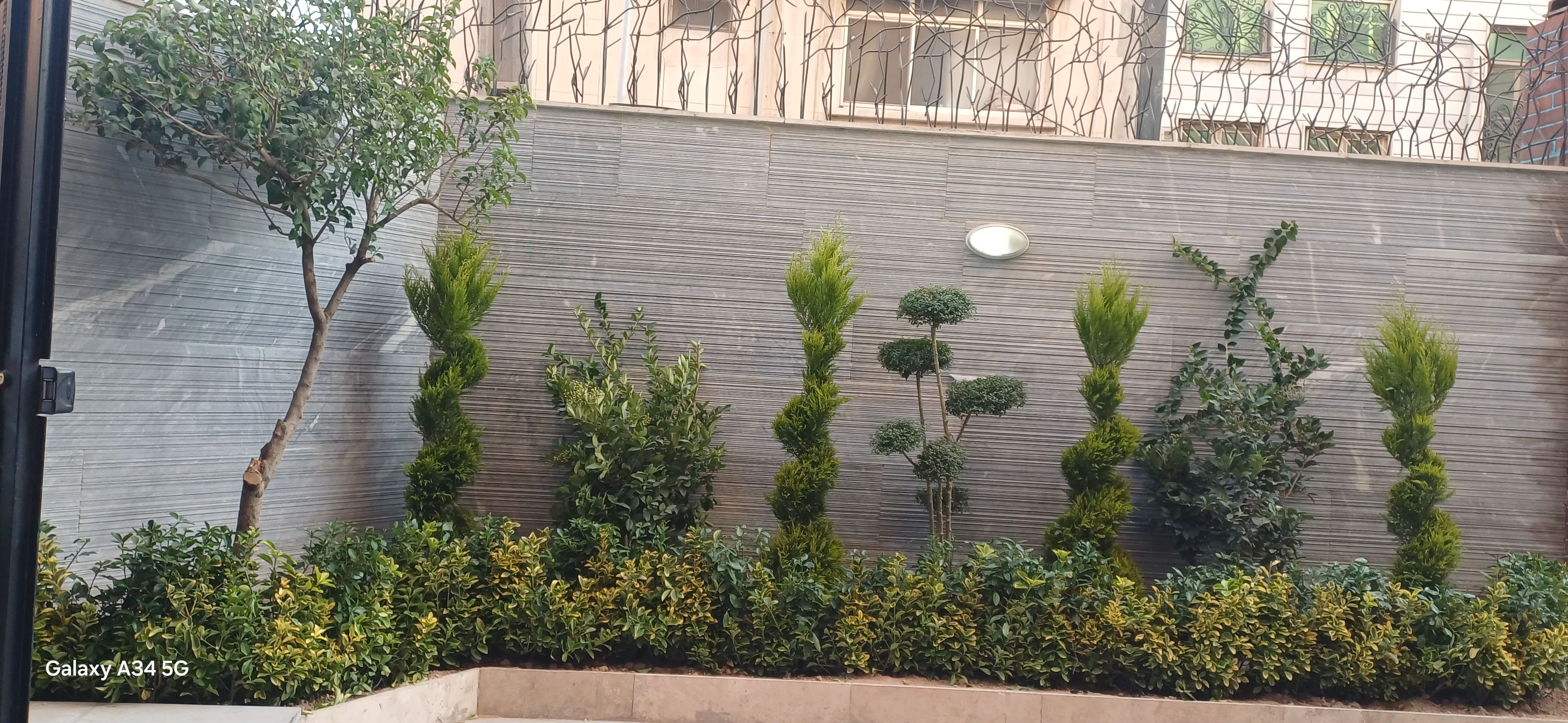 باغبانی گل کاری هرس کردن کود باغچه  تعویز  خاک گلدان - تصویر 11