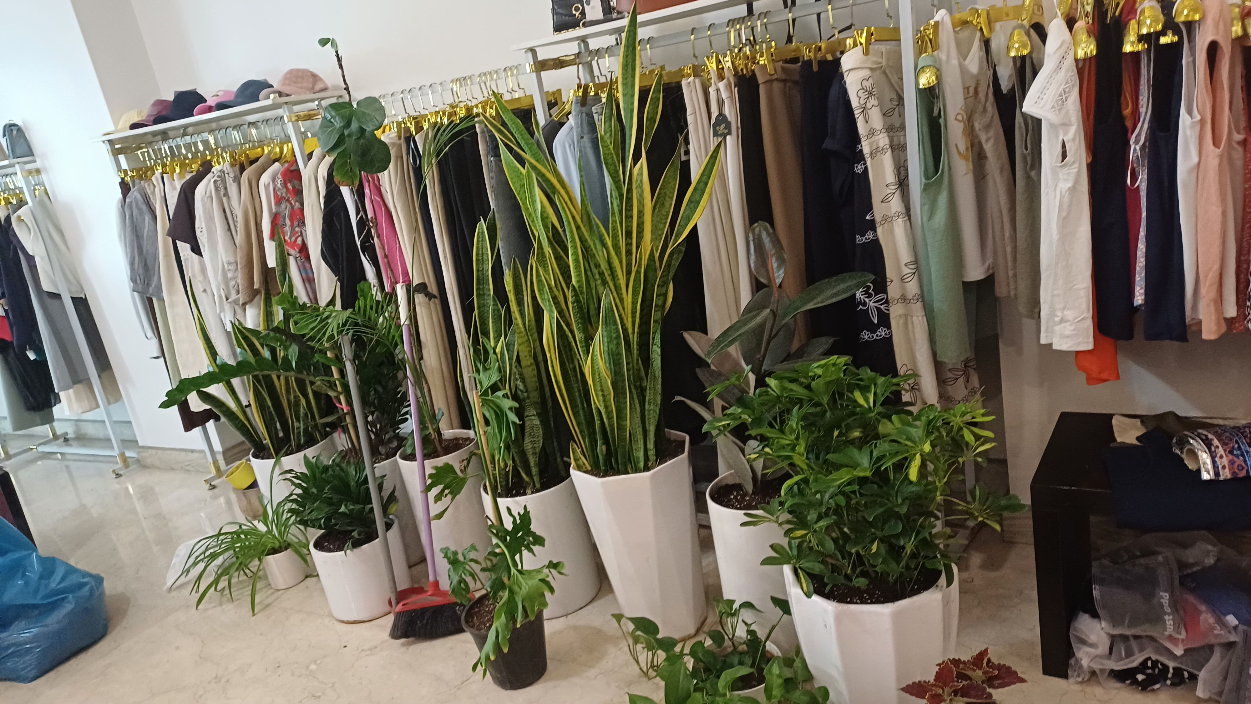 باغبانی گل کاری هرس کردن کود باغچه  تعویز  خاک گلدان - تصویر 10
