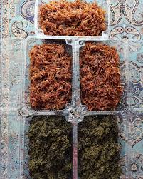 مواد غذایی خانگی