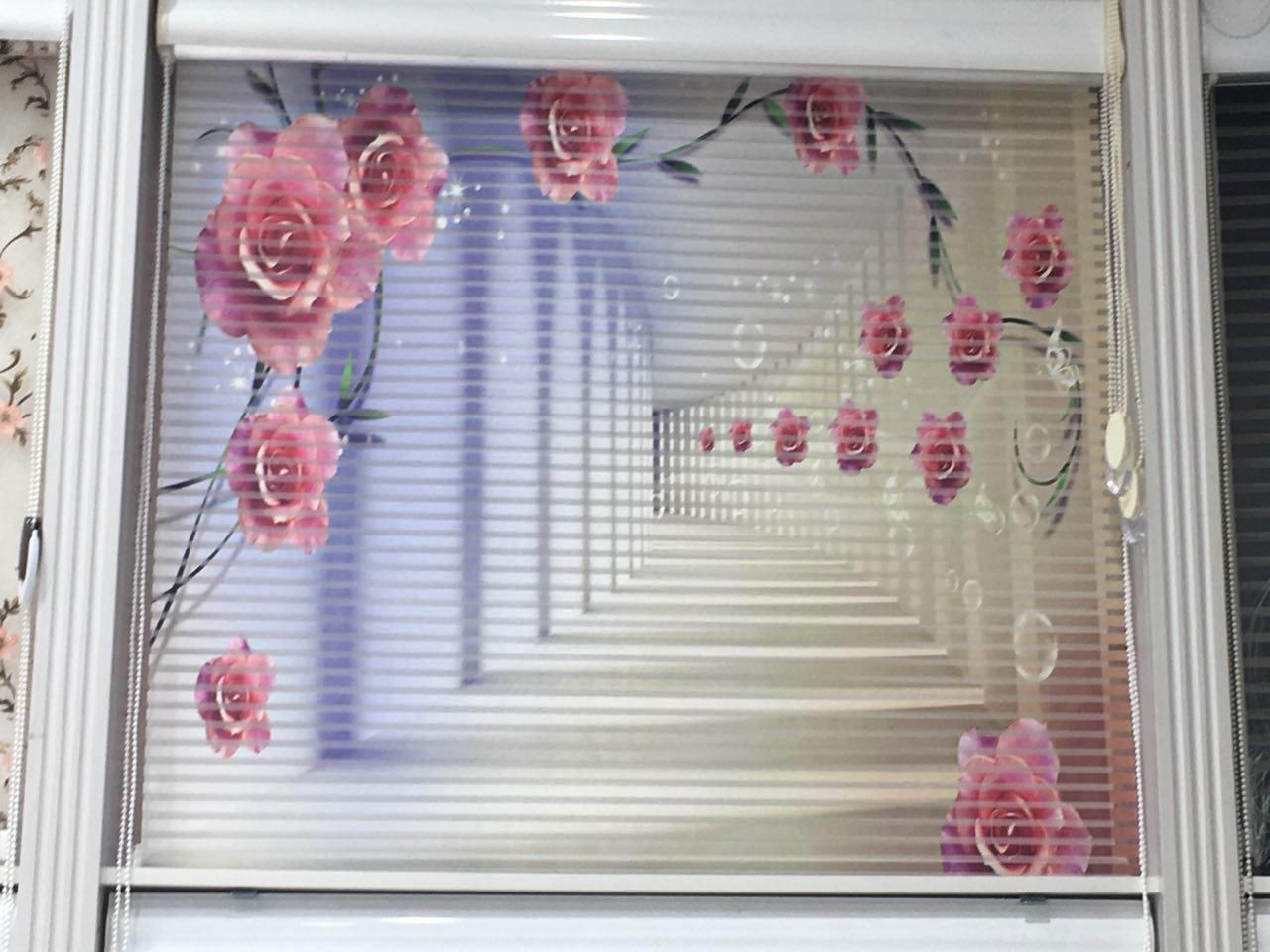 زبرا دومکانیزم چاپی