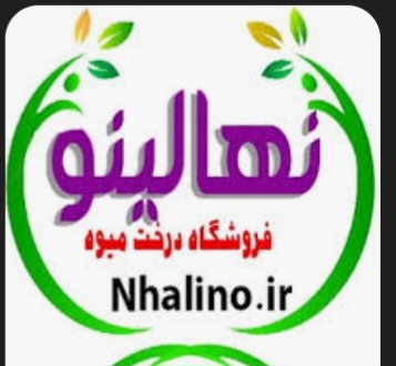 نهالستان نهالینو مجموعه تخصصی درخت میوه