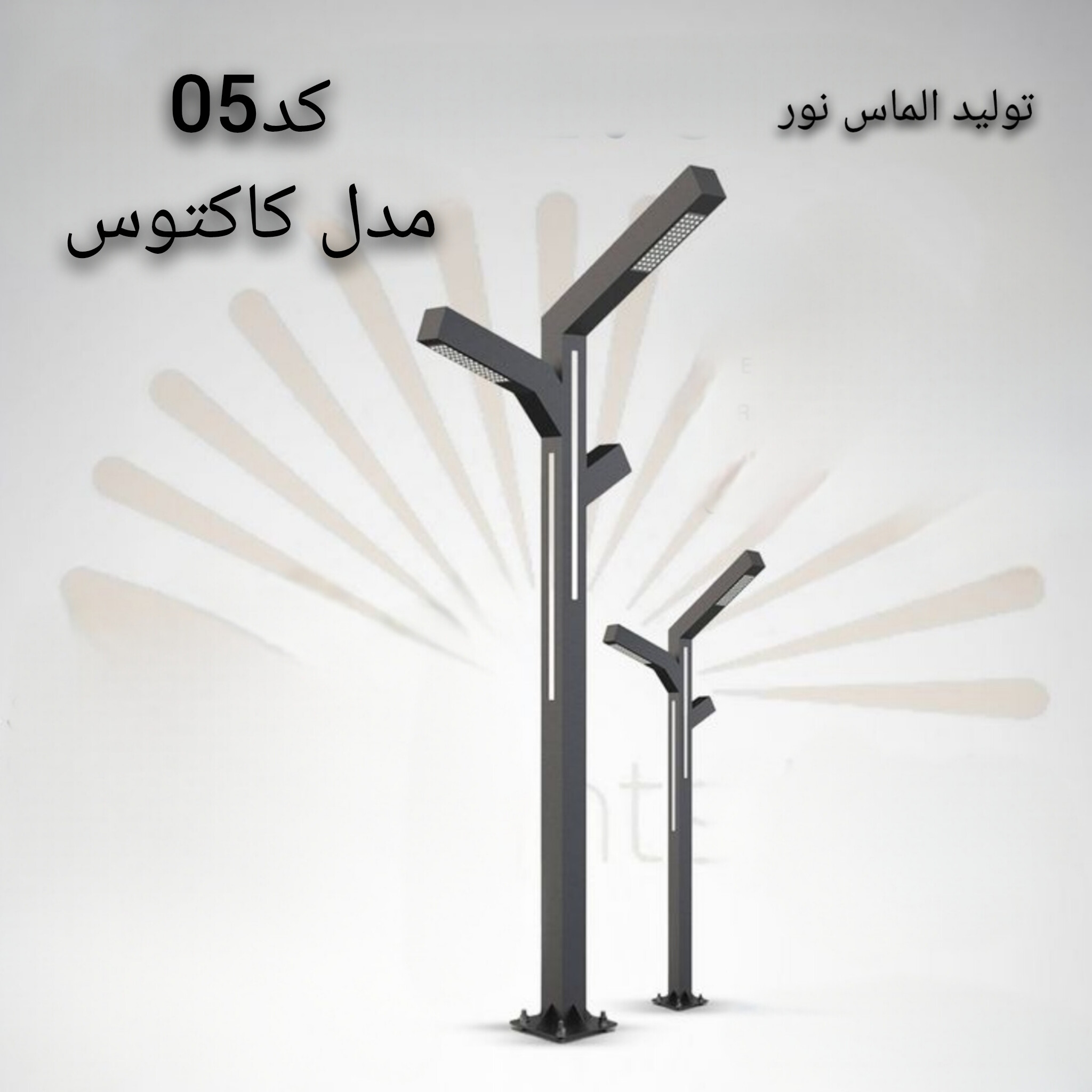 الماس نور خراسان - تصویر 4