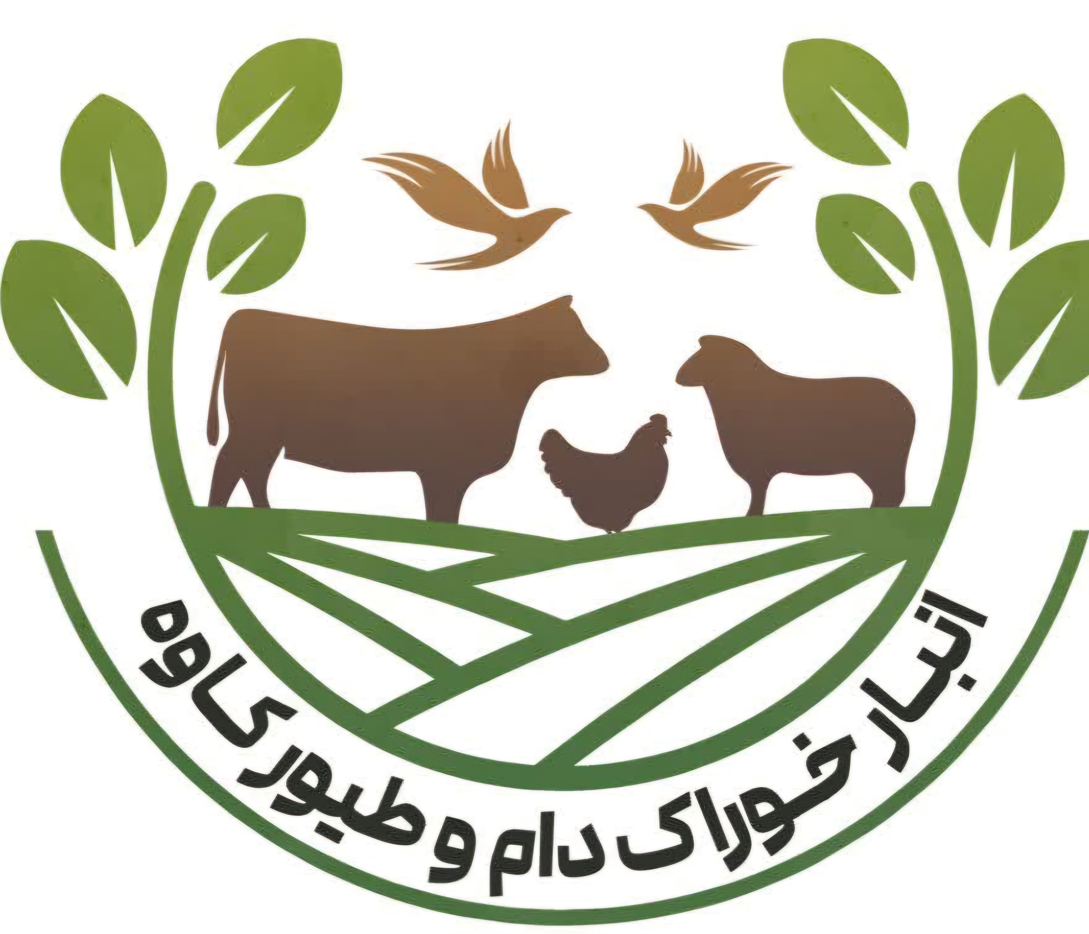 خوراک دام و طیور کاوه