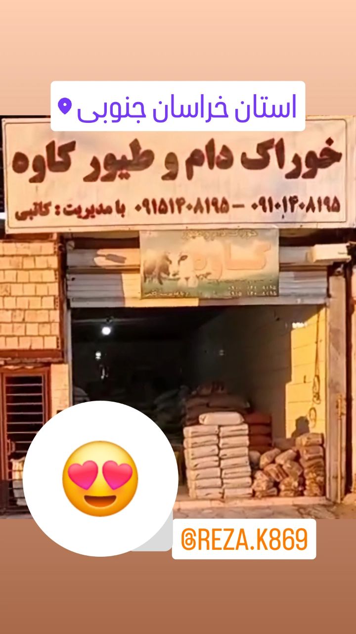 خوراک دام و طیور کاوه