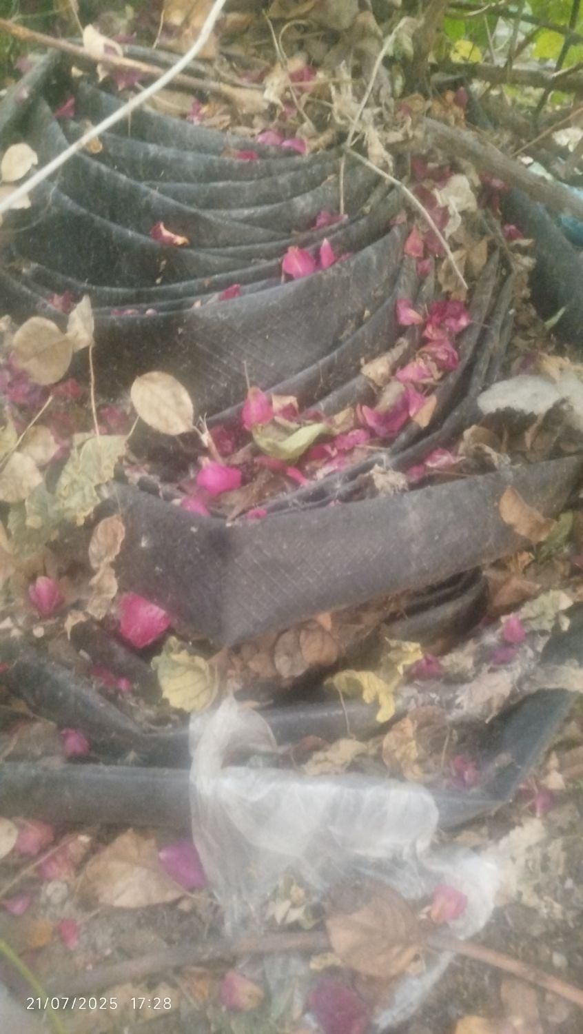 شیلنگ دواینج