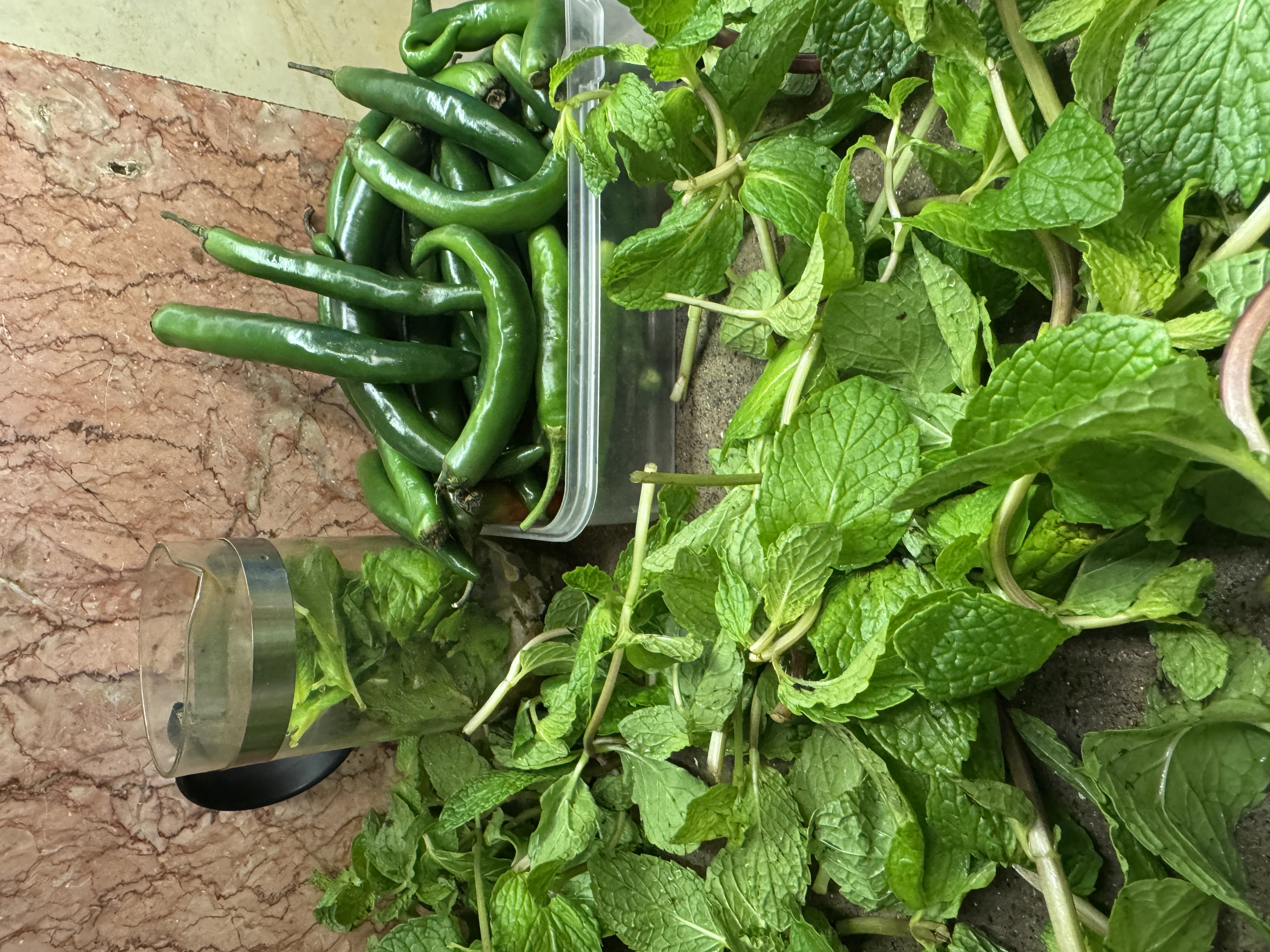 کبابی و جگرسرای مرزداران (قوشاچای) - تصویر 6