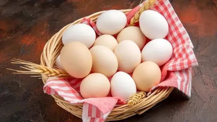 تخم مرغ طبیعی از مرغهای مزرعه