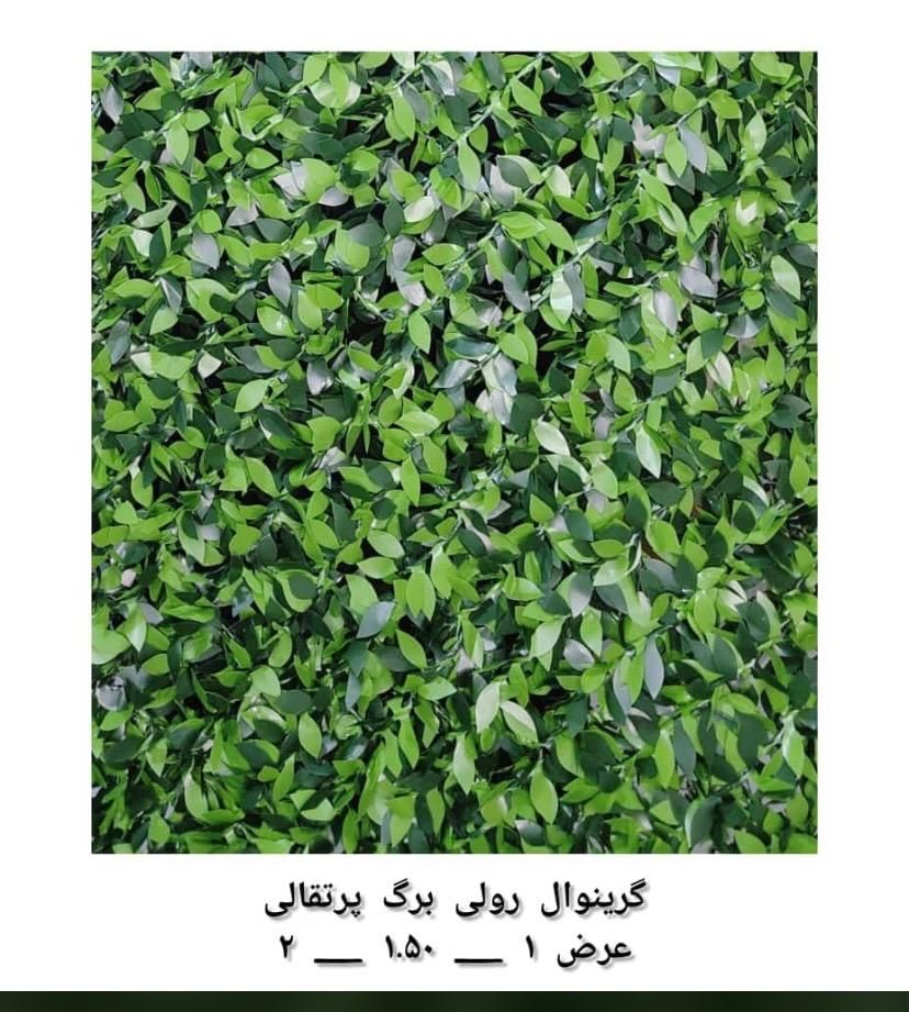 فنس برگ پرتقالی فنس برگ ریحون سنگ ریسه آکاردئون