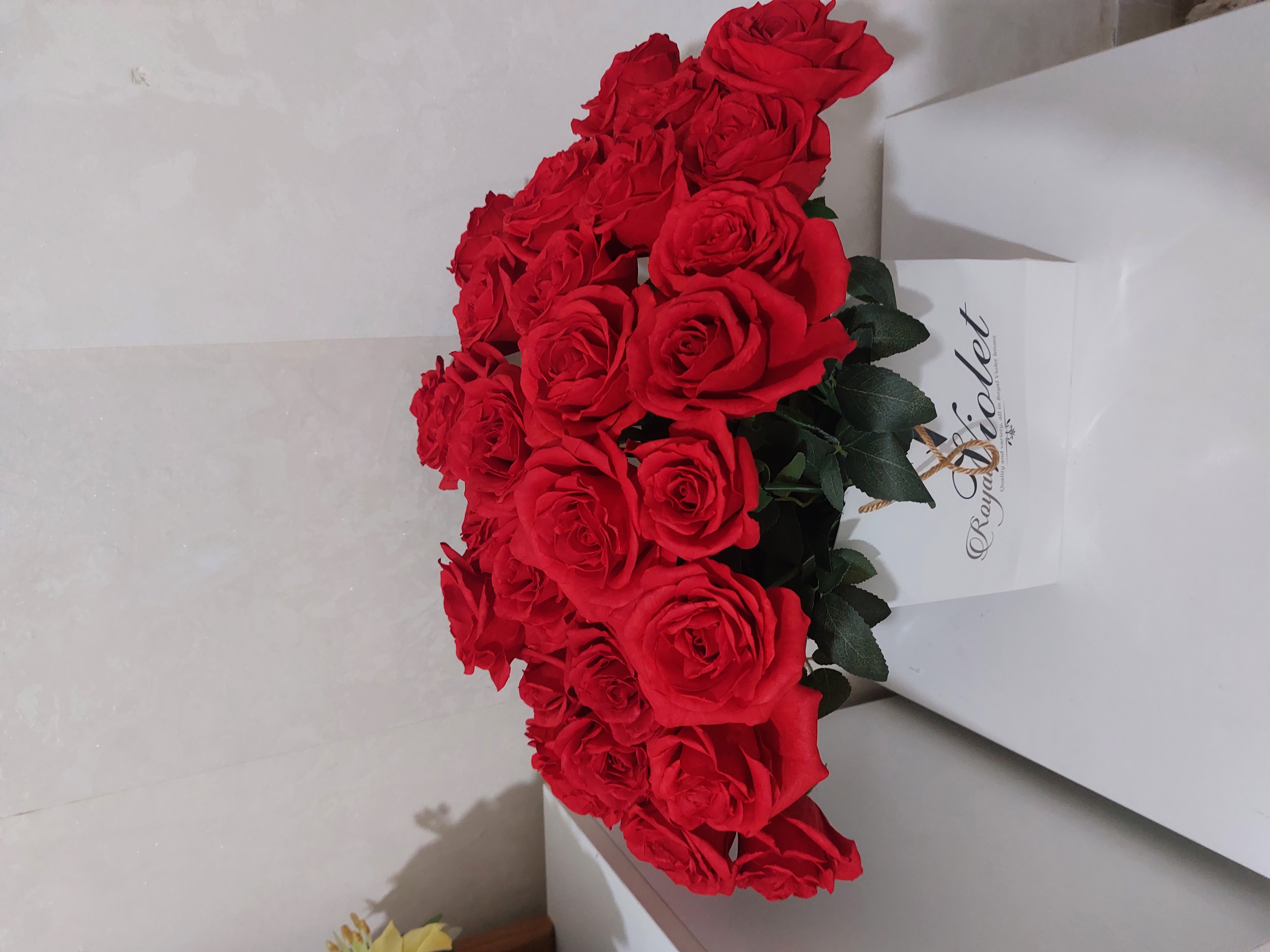 گل رز شاخه ای