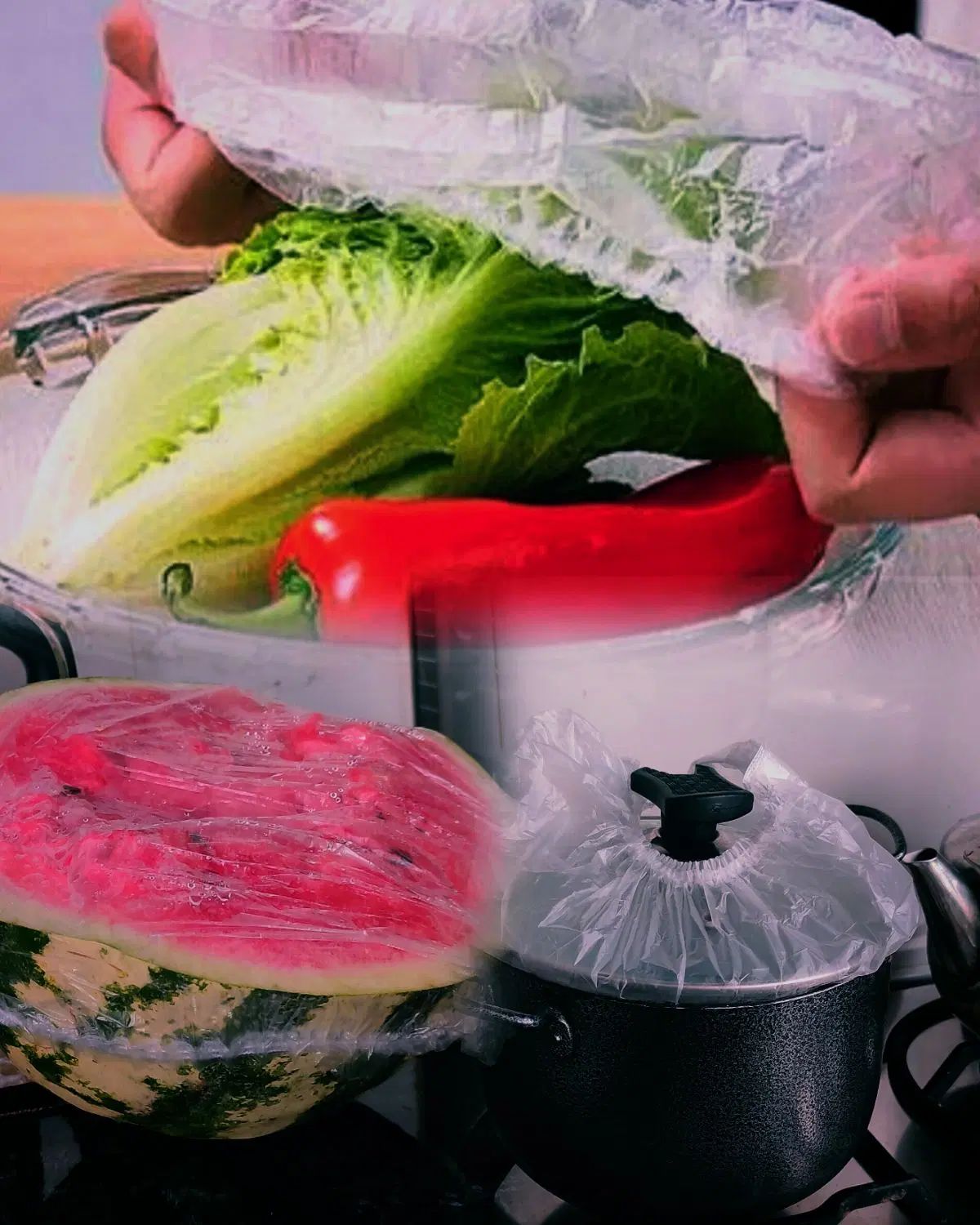 کاور محافظ غذا