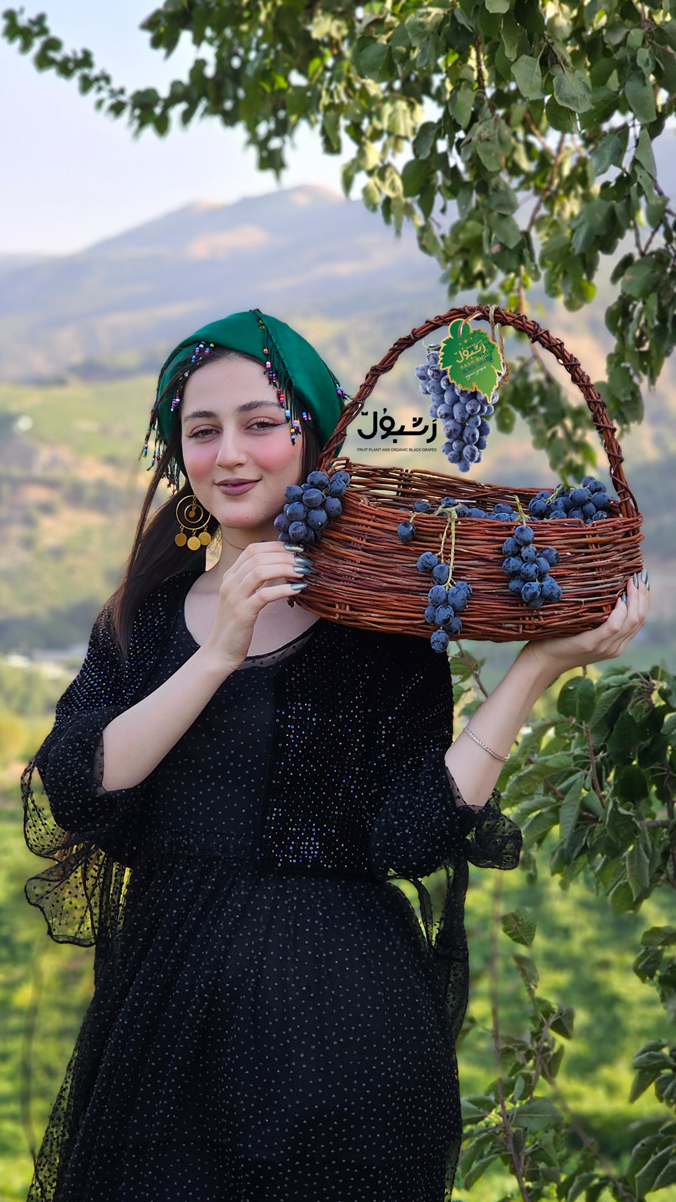 انگور دیمی سردشت