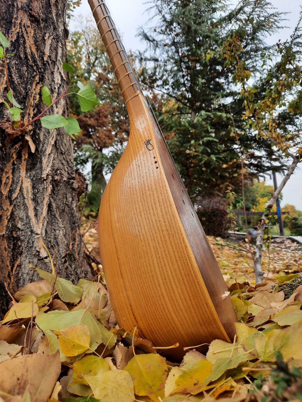 تنبور کاسه ای و ترکه ای