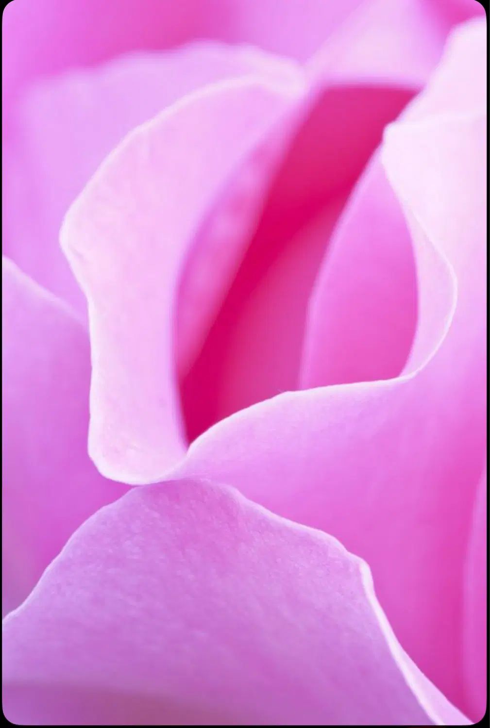 زیبایی مامایی زنان