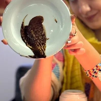 فال(چای.قهوه.تاروت) با موکل