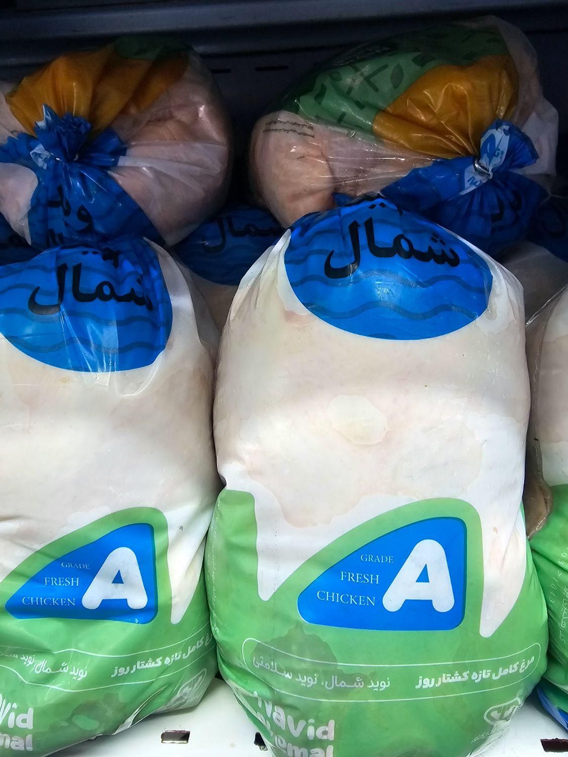 پخش نوید مرغ شمال