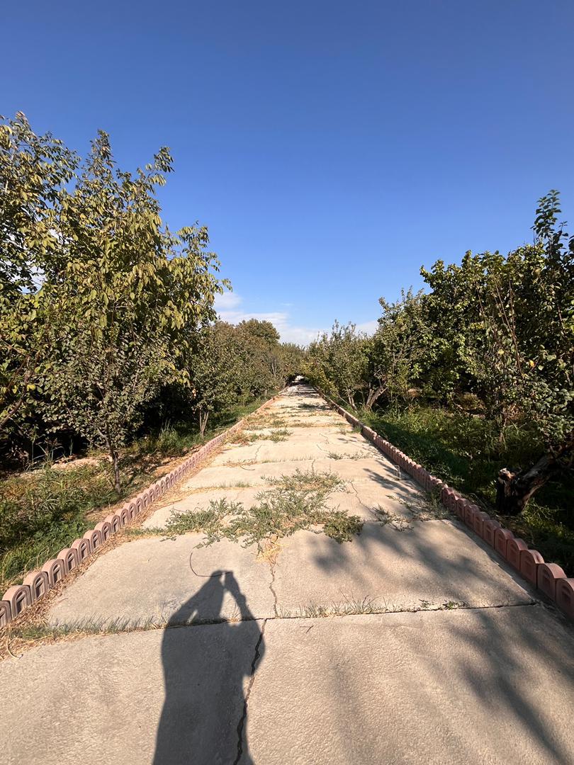 باغچه